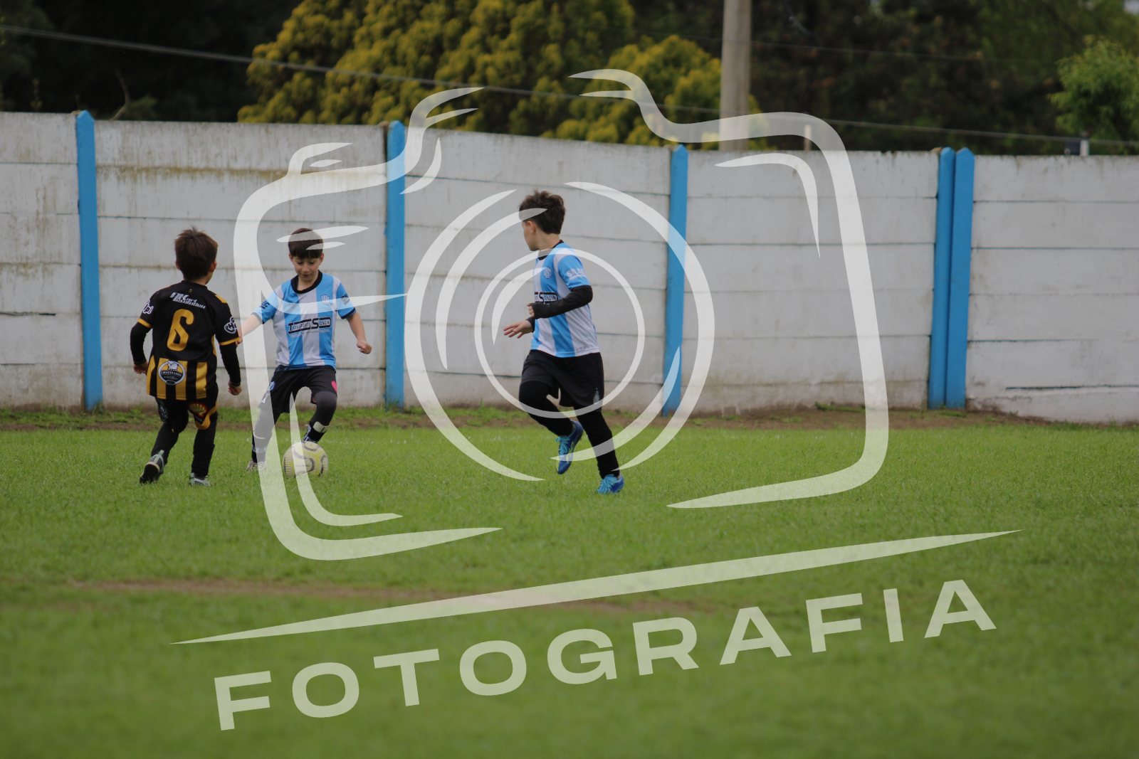 IMG 2051