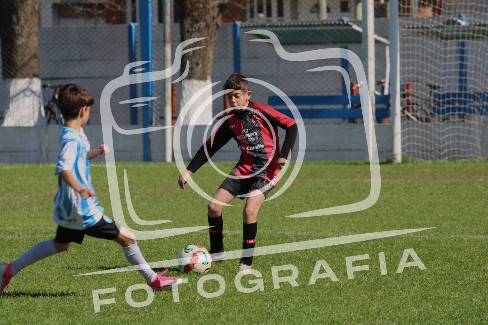 IMG 5822
