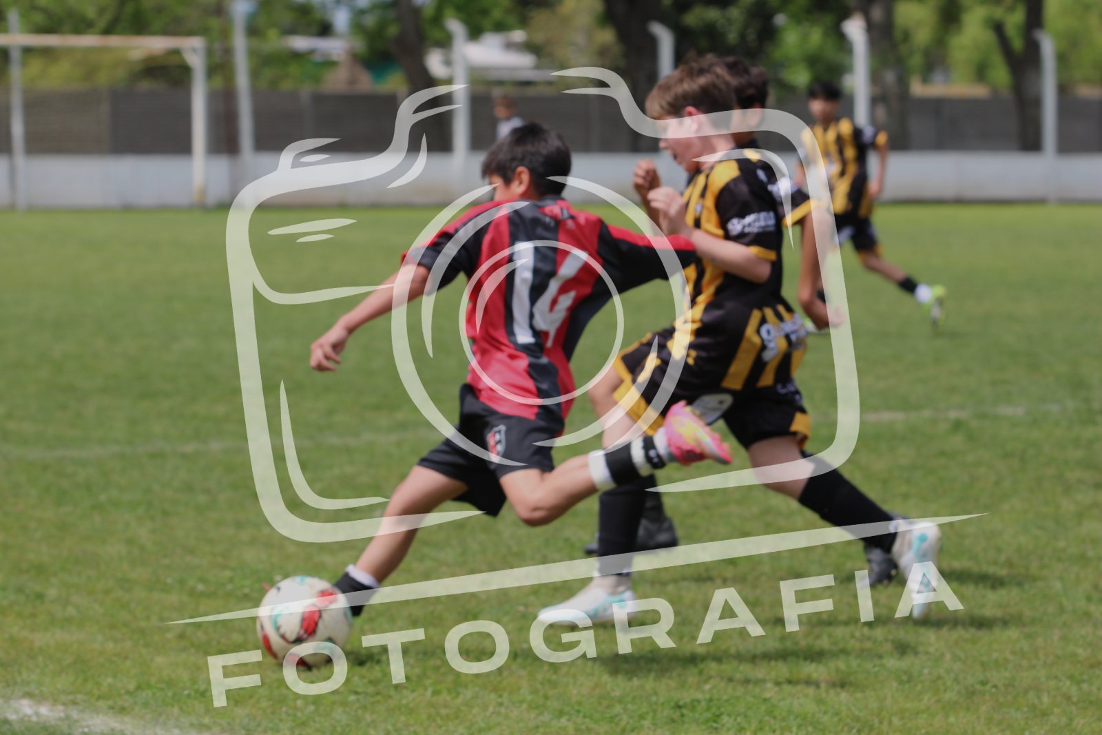 IMG 3789