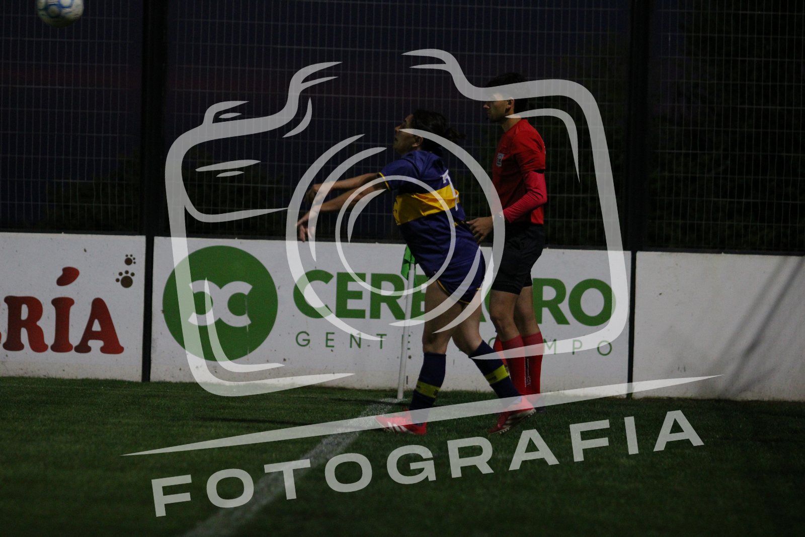 IMG 9079