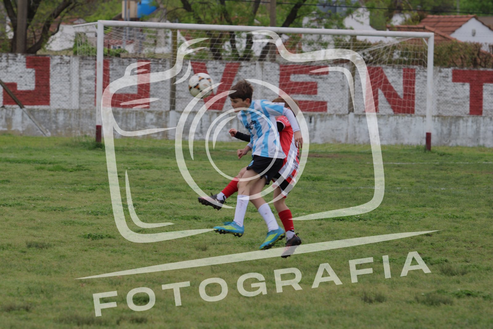 IMG 0817