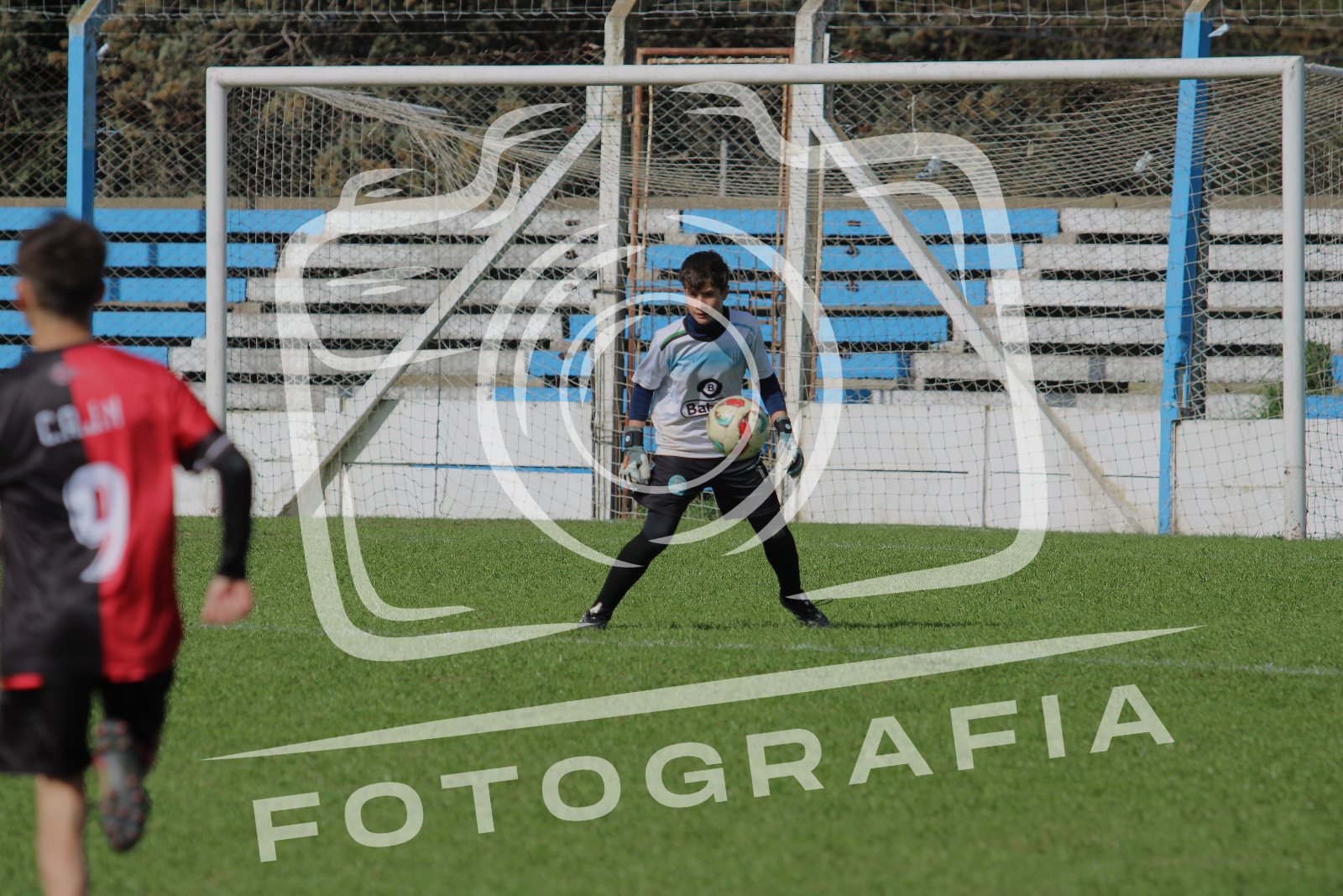 Portada de Argentino vs Newbery
