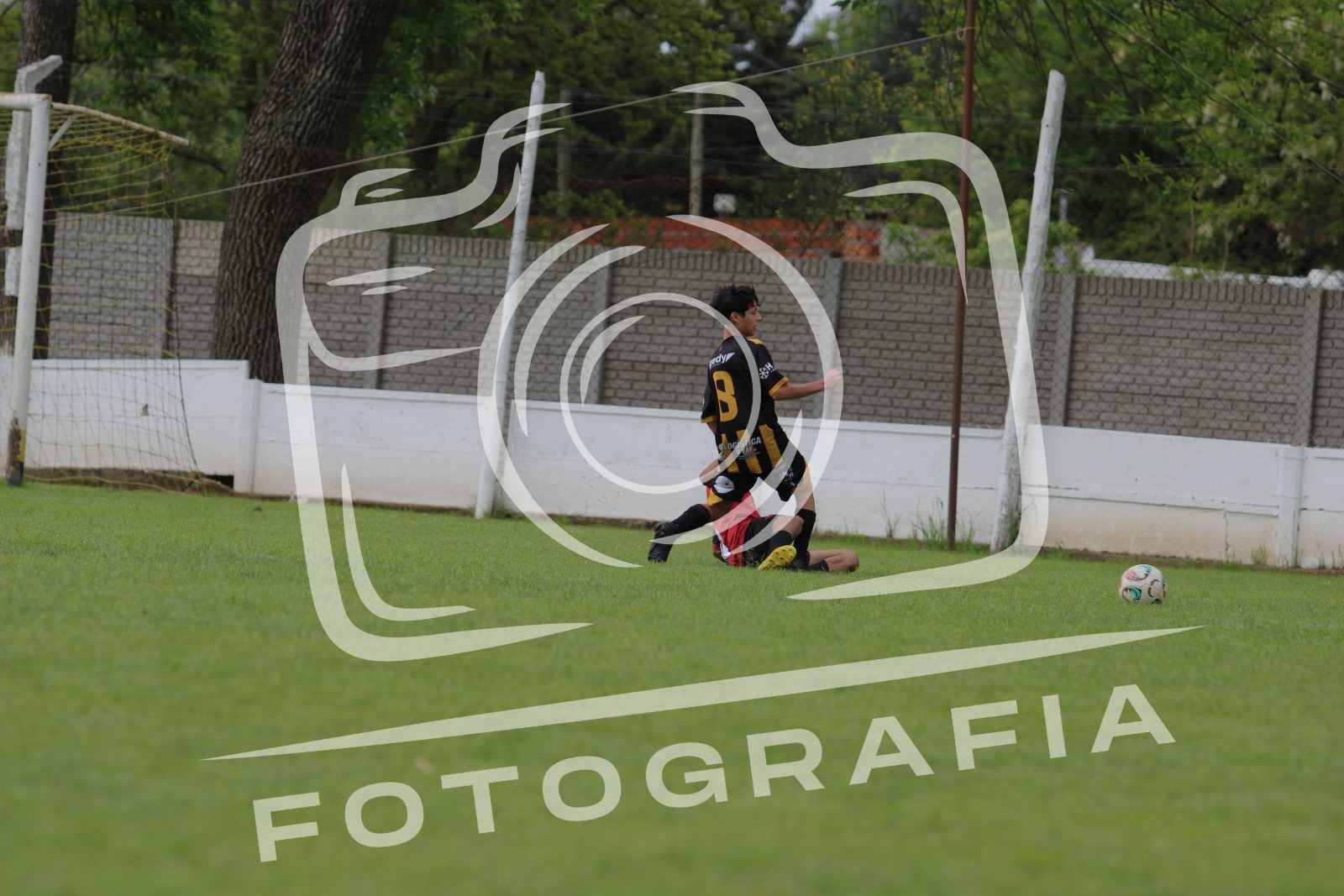 IMG 3983