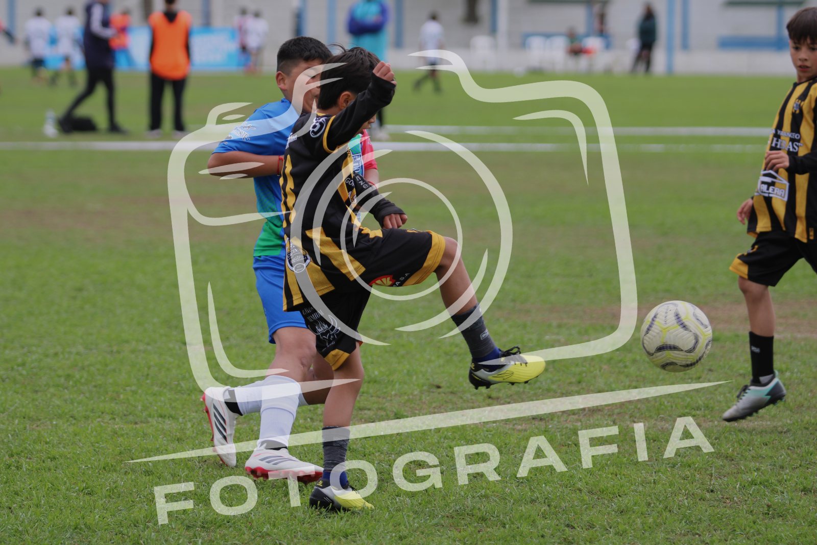IMG 2359
