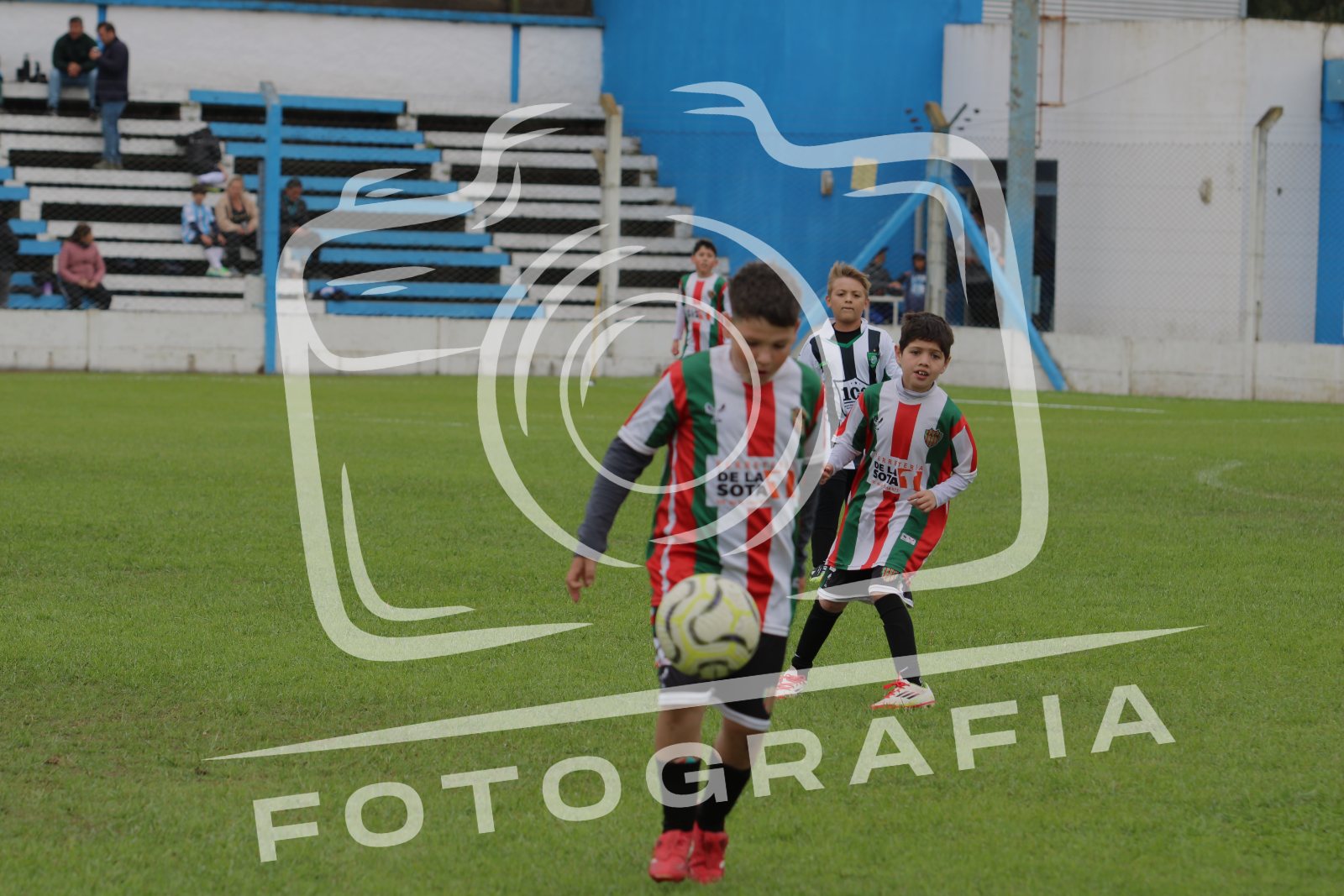 IMG 1687
