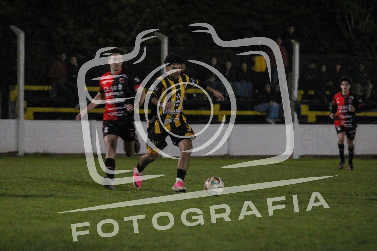 IMG 3513 2