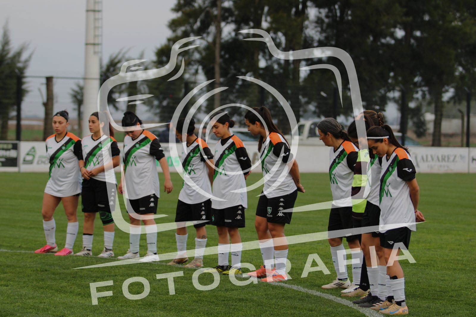 Portada de Social vs Singlar