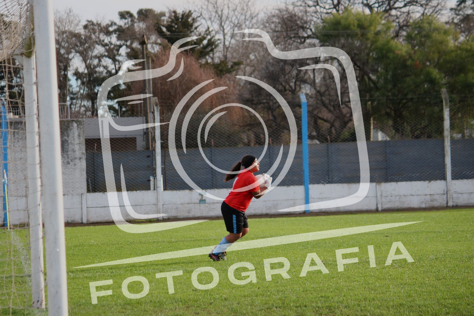 IMG 4062
